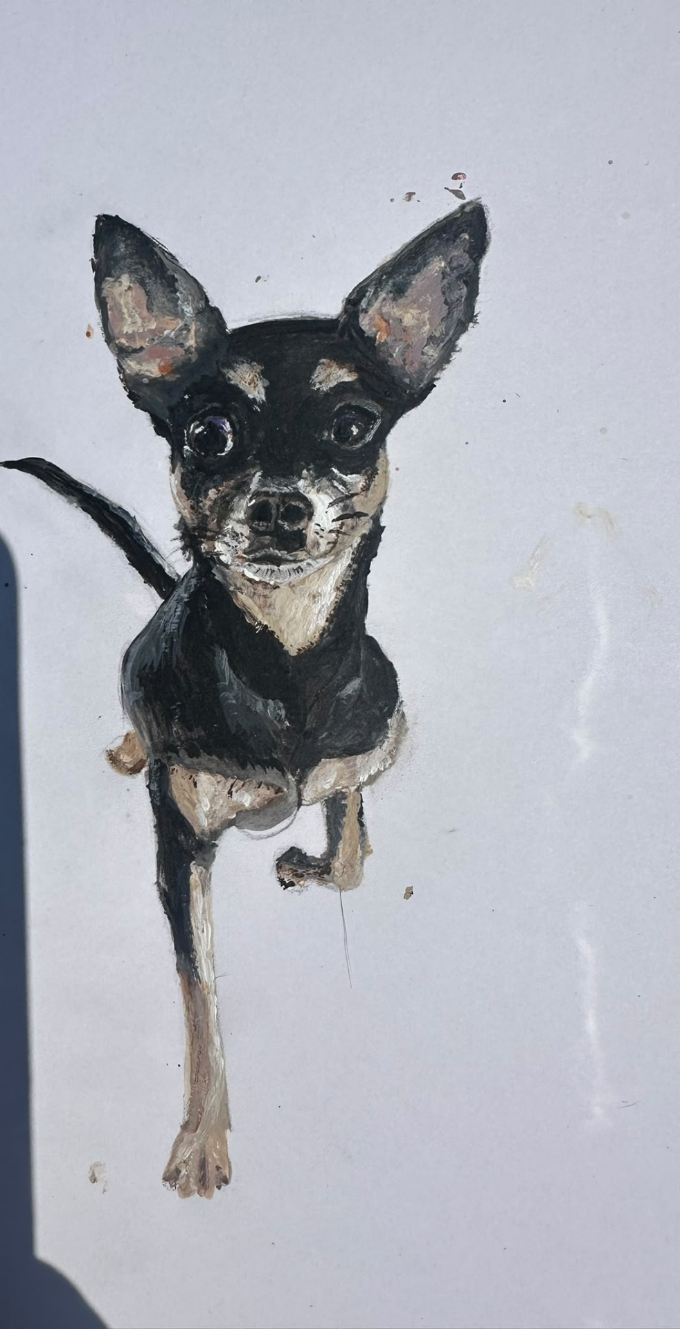 Dogs
