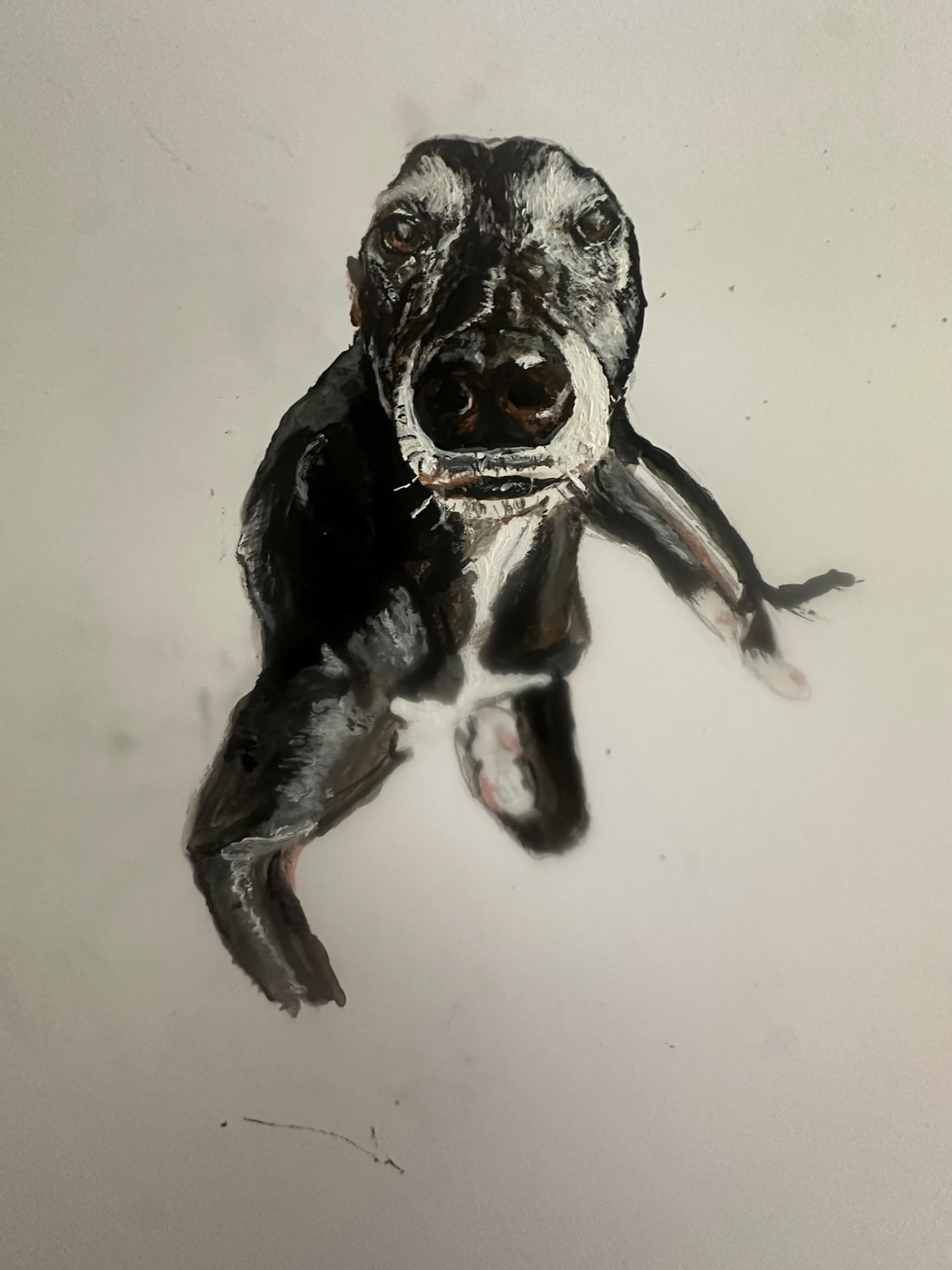 A painted study of a black hound by Ceri