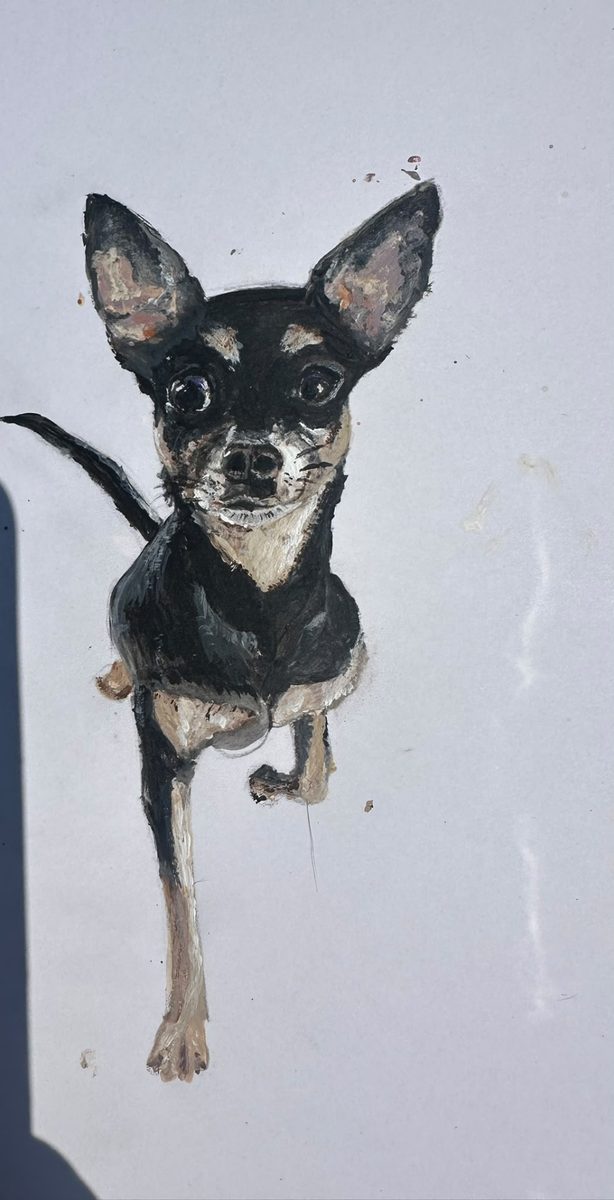 An original oil painting of a chihuahua by Ceri, from the dog portraits collection
