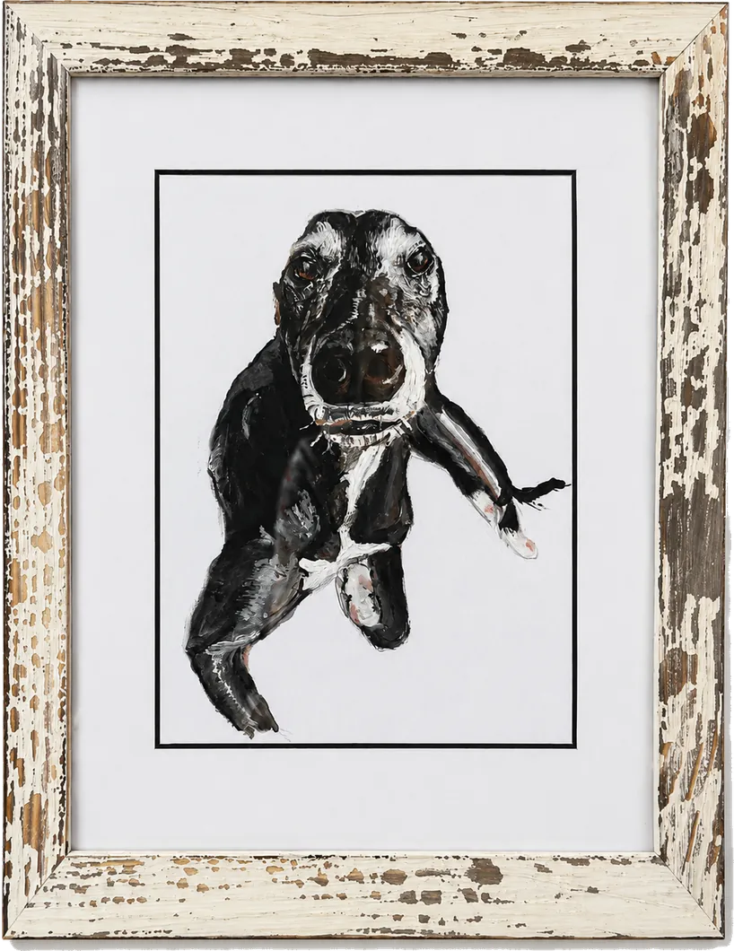 An original oil portrait of a greyhound by Ceri, mounted and framed