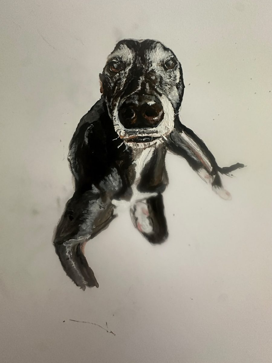 The Hound — a signed fine art print of an original dark hound painting by Ceri