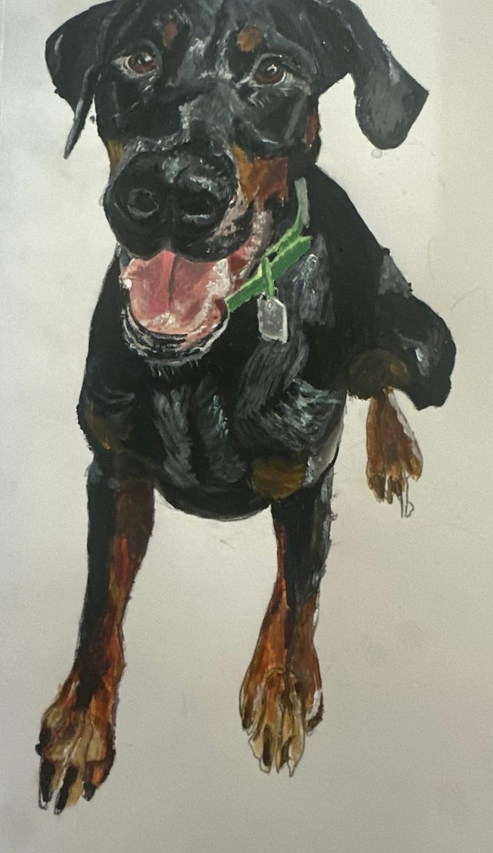 An original oil painting of a rottweiler by Ceri, from the originals collection