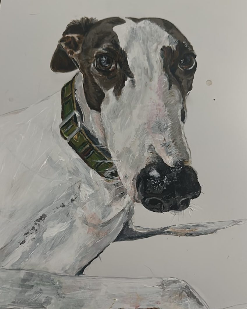 Whippet in Green Collar — a signed fine art print of an original whippet painting by Ceri